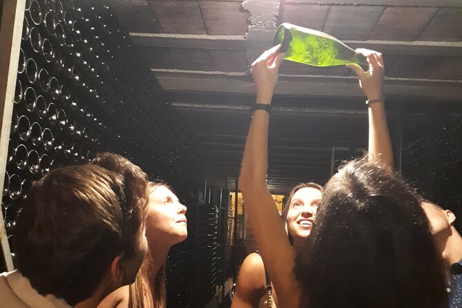 Cava tour to 3 family wineries with hotel pick-up - What makes this cava day special