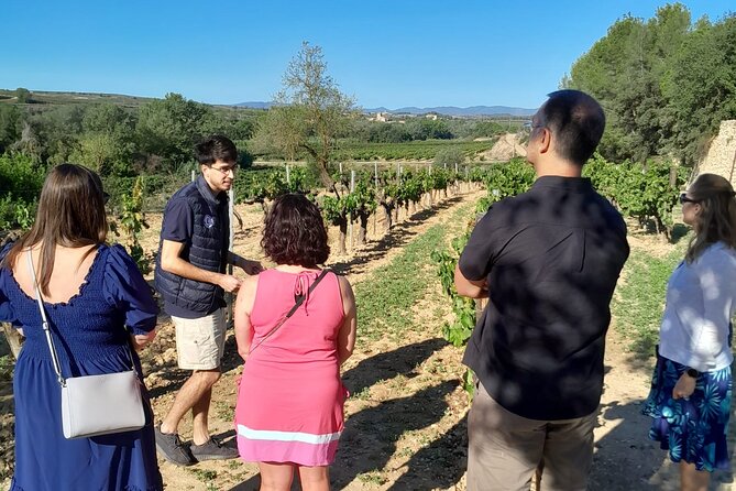 Cava tour to 3 family wineries with hotel pick-up - How much cava will you actually taste?