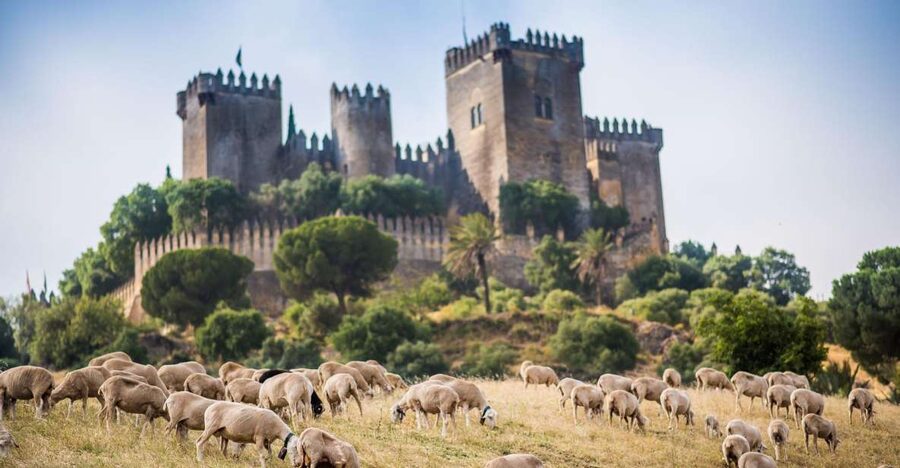 Córdoba: Almódovar Castle Entrance Ticket - A self-guided route through the towers and walls