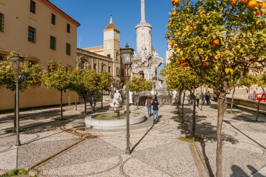 Córdoba: City Sightseeing Hop-On Hop-Off Bus Tour - Who should book this Córdoba bus tour?