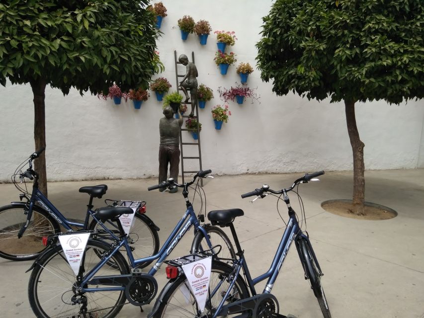 Córdoba Daily Highlights Bike Tour - Francisco’s guiding style and local advice