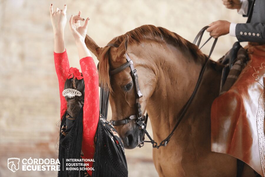 Cordoba: Equestrian Show General Entry - Classical dressage, vaquera, and Alta Escuela