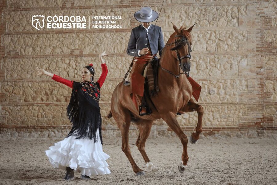 Cordoba: Equestrian Show General Entry - Is $21 a good value?