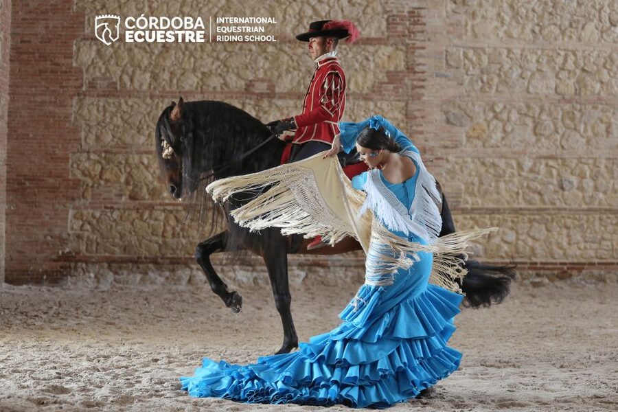Cordoba: Equestrian Show General Entry - Who should book this performance?