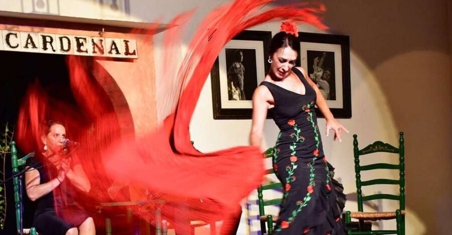 Córdoba: Flamenco Show Ticket with Drinks - The dancers: athletic skill with real emotion