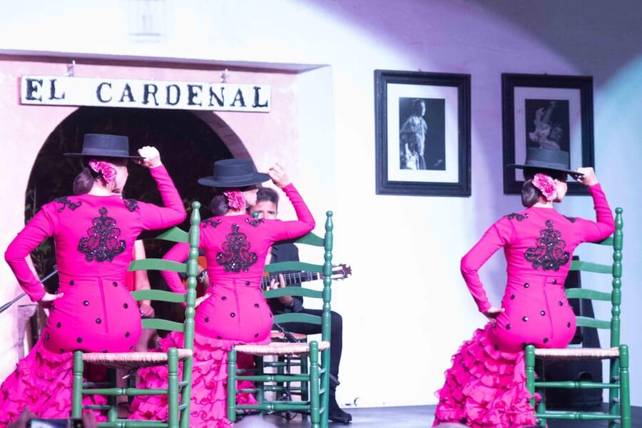 Córdoba: Flamenco Show Ticket with Drinks - The singer and guitarist carry equal weight