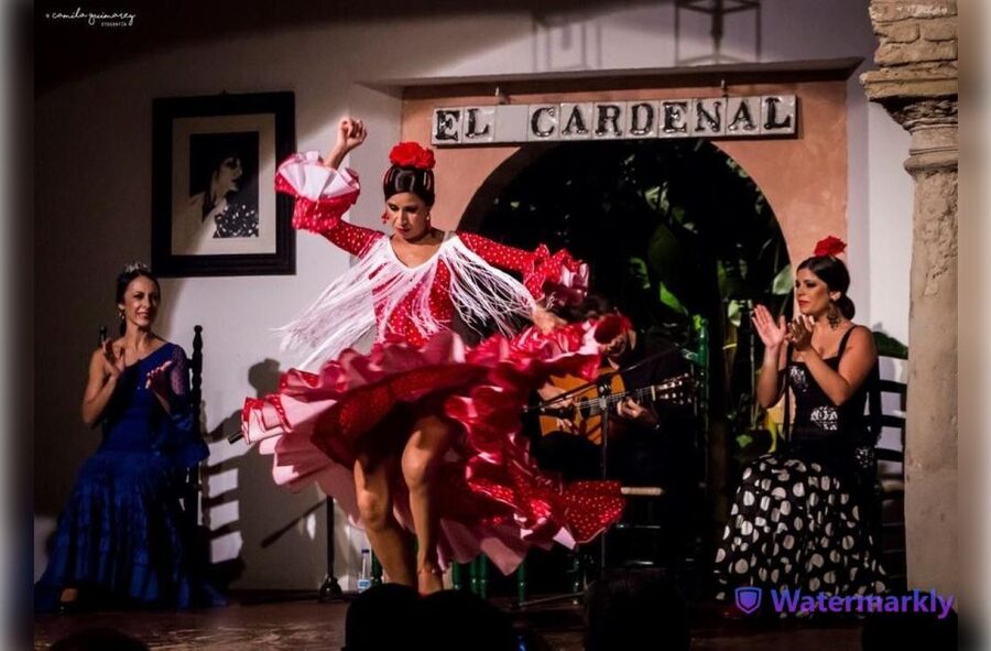 Córdoba: Flamenco Show Ticket with Drinks - Is $29 a fair price?