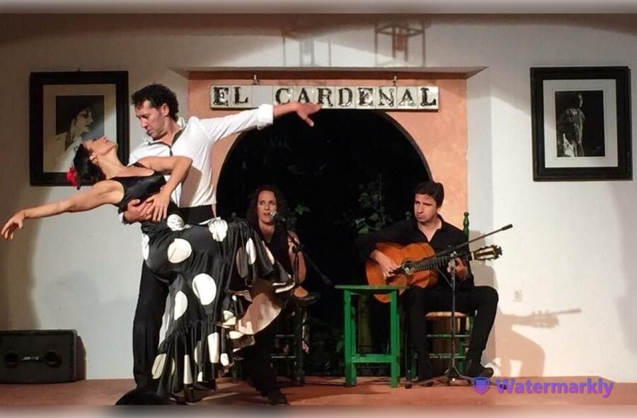 Córdoba: Flamenco Show Ticket with Drinks - Seating can shape your evening
