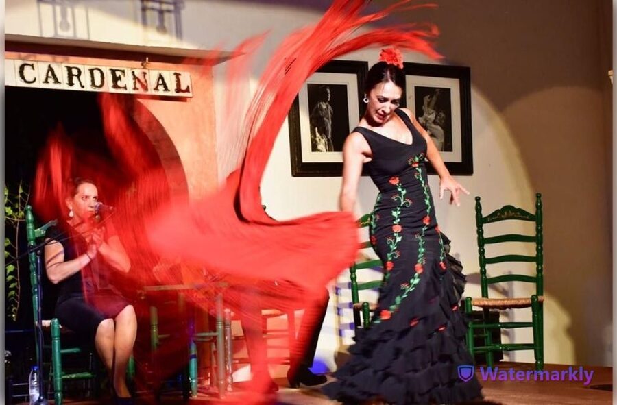 Córdoba: Flamenco Show Ticket with Drinks - Why the 80-minute format works