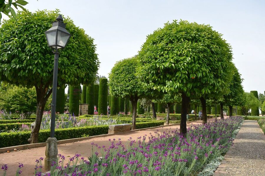 Cordóba: Gardens & Fortress of Catholic Monarchs Guided Tour - Practical advice for a better visit