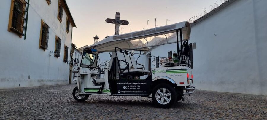 Córdoba: Guided City Tour by Tuk-Tuk - The Alcázar and the Mosque-Cathedral