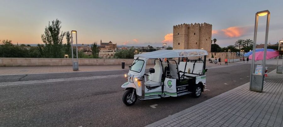 Córdoba: Guided City Tour by Tuk-Tuk - The Roman Temple and Corredera Square