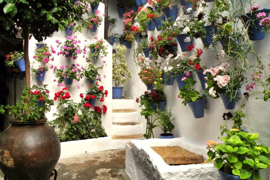 Córdoba: Guided Tour of the Patios - Key details before you book