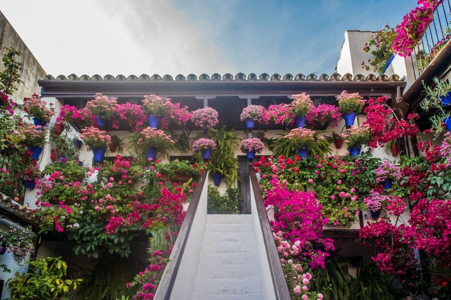Córdoba: Guided Tour of the Patios - Behind the doors: what the walk feels like