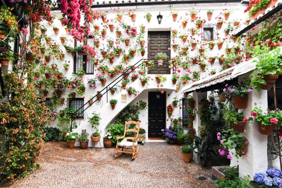 Córdoba: Guided Tour of the Patios - Spring beauty and the May crowd