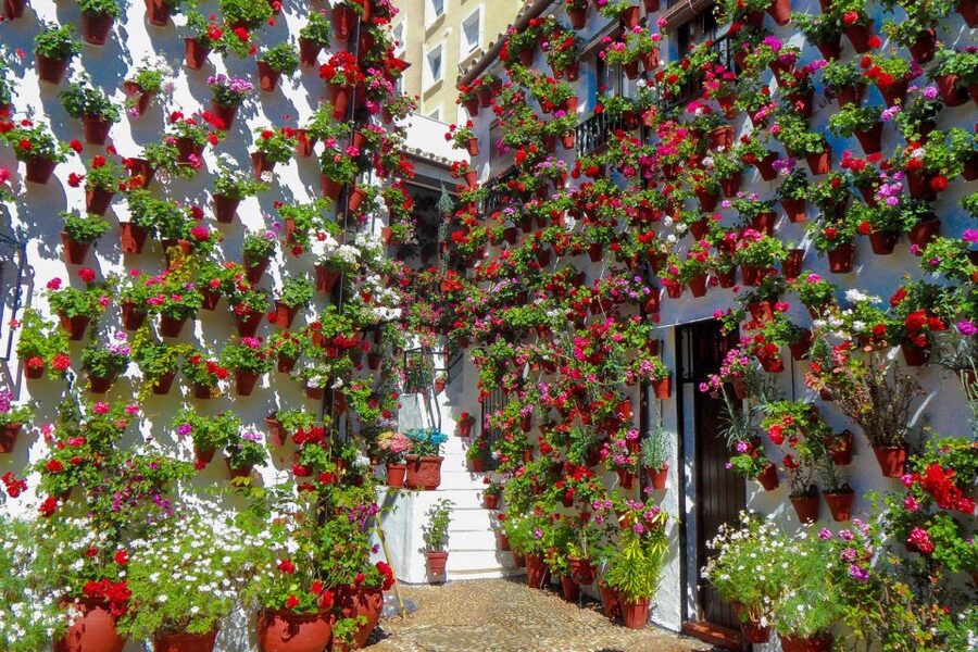 Córdoba: Guided Tour of the Patios - How much time do you get at each courtyard?