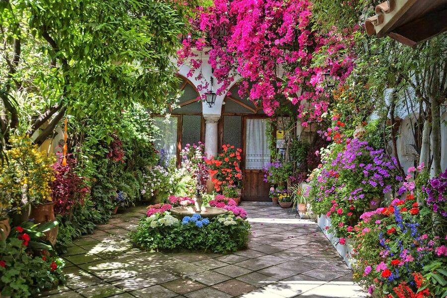Córdoba: Guided Tour of the Patios - Who should book this walk?