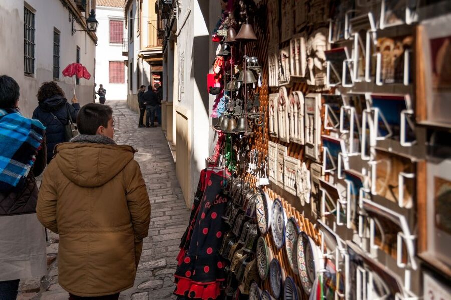 Cordoba: Jewish Quarter and Mosque-Cathedral Guided Tour - Group size, guide quality, and languages