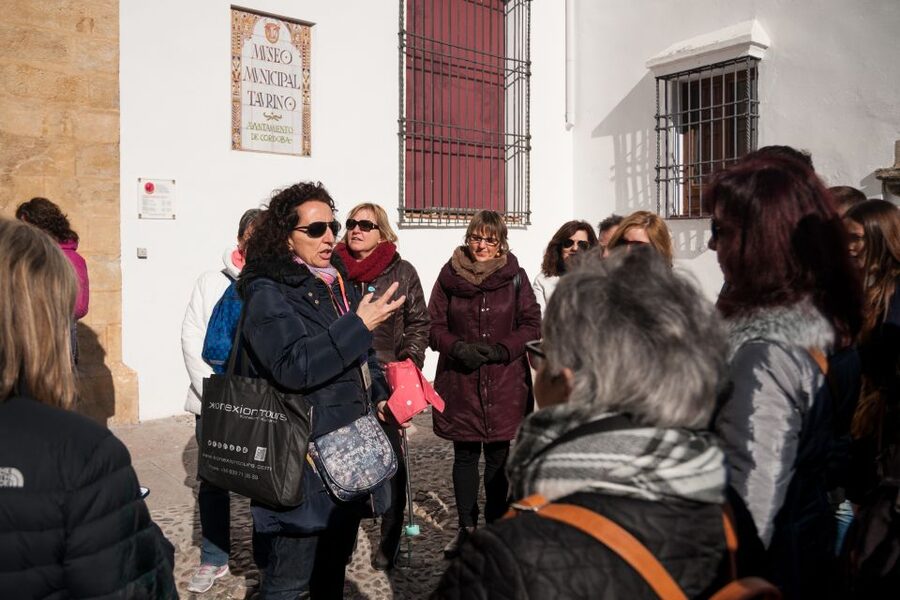 Cordoba: Jewish Quarter and Mosque-Cathedral Guided Tour - What the $45 price includes