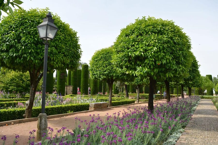 Cordoba: Monuments Walking Tour - Is $66 a fair price?