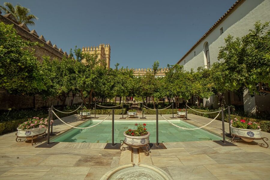 Córdoba: Mosque-Cathedral and Alcazar Tour - Why the Mosque-Cathedral visit earns the extra time