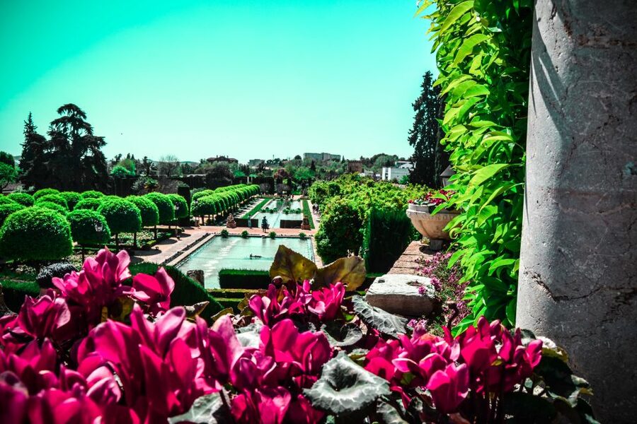 Córdoba: Mosque-Cathedral and Alcazar Tour - Timing, comfort, and what to bring