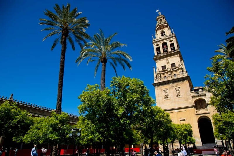 Córdoba: Mosque-Cathedral, Jewish Quarter and Alcázar Tour - What to bring and how to prepare