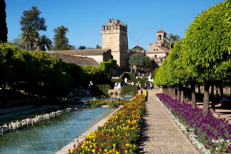 Córdoba: Mosque-Cathedral, Jewish Quarter and Alcázar Tour - Guide quality, group pace, and language