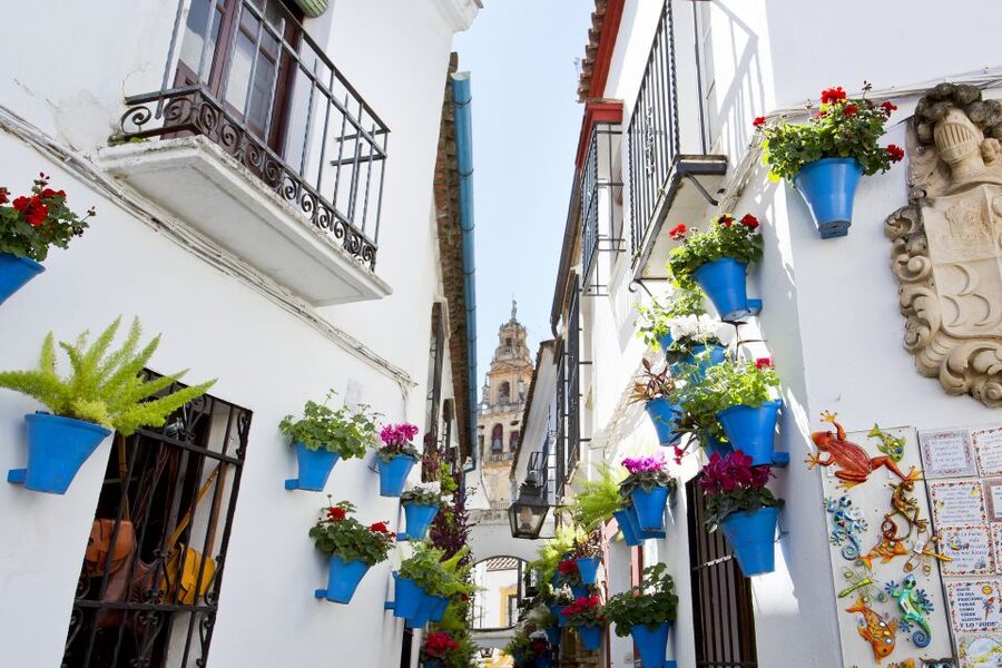Cordoba Mosque & Jewish Quarter Tour with Tickets - Why this Córdoba tour works well in half a day