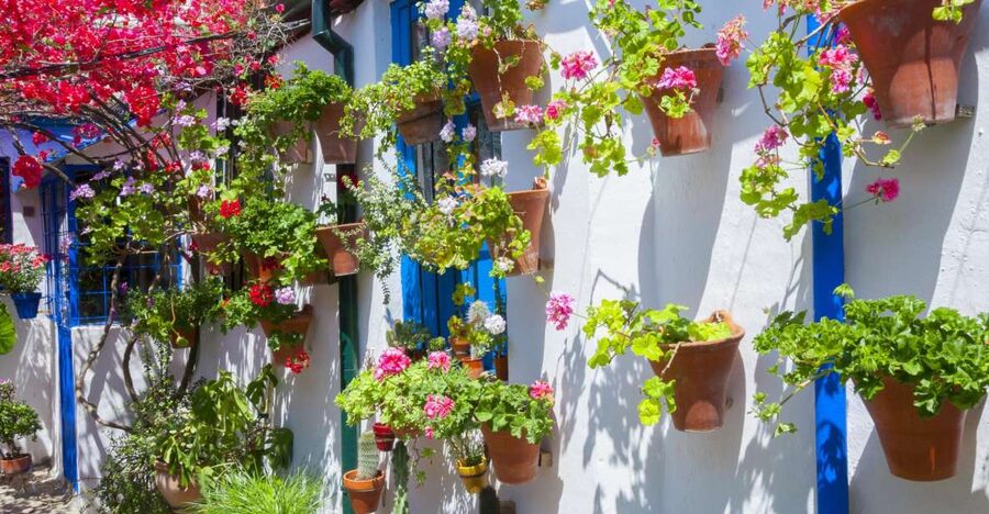 Cordoba's Authentic Patios: 2-Hour Tour with Tickets - Inside five private courtyards