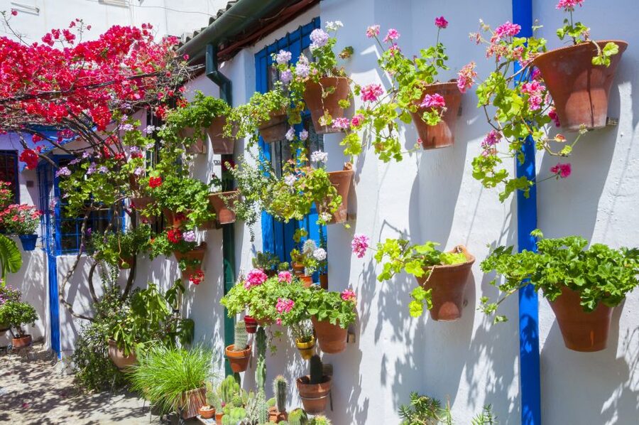 Cordoba's Authentic Patios: 2-Hour Tour with Tickets - What the guides add