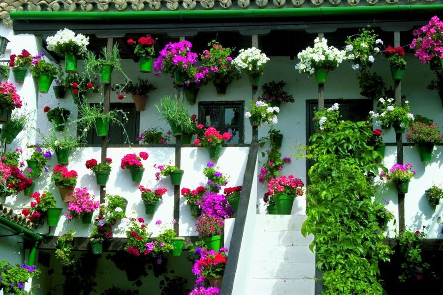 Cordoba's Authentic Patios: 2-Hour Tour with Tickets - Timing your visit for flowers
