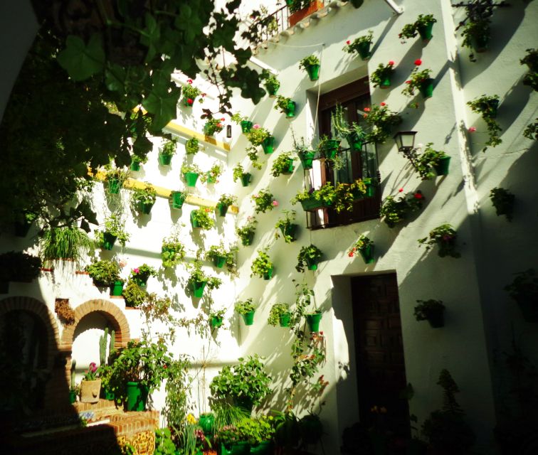 Cordoba's Authentic Patios: 2-Hour Tour with Tickets - Is $21 good value?