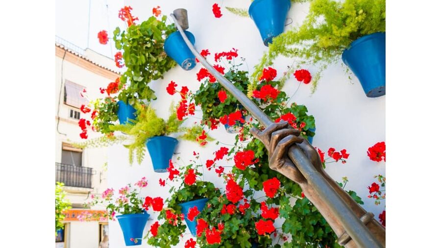 Cordoba's Authentic Patios: 2-Hour Tour with Tickets - Meeting at Plaza del Triunfo