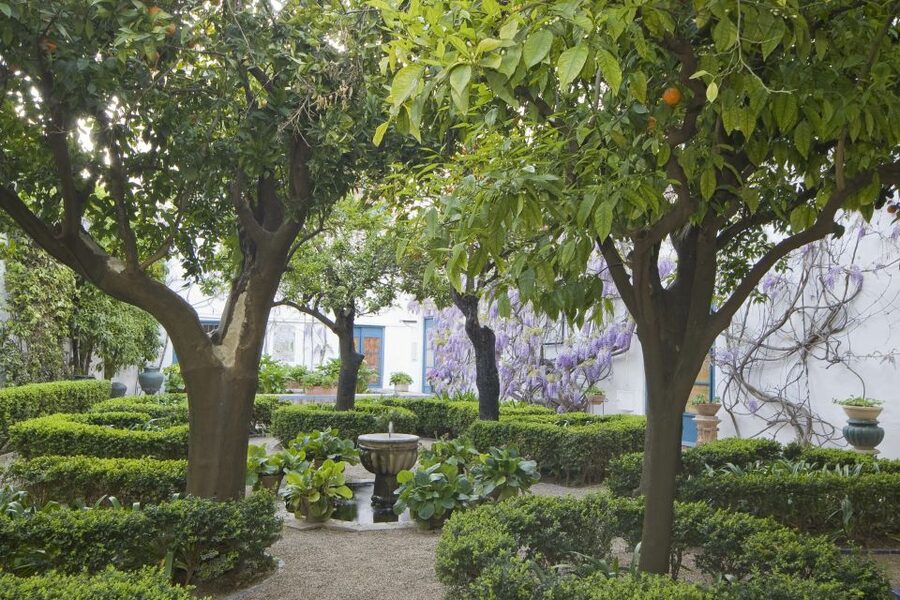 Córdoba: Viana Palace Gardens and Patios Entry Ticket - The first courtyards: a lesson in shade, water, and welcome