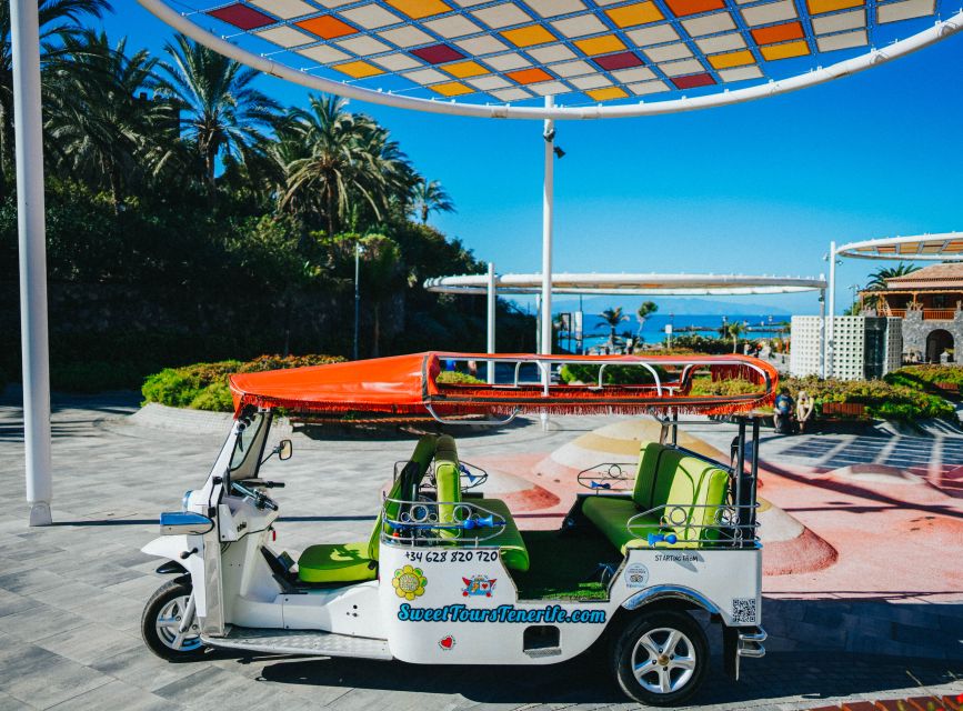 Costa Adeje: Double Tuk Tuk Tour - Who will enjoy this most?