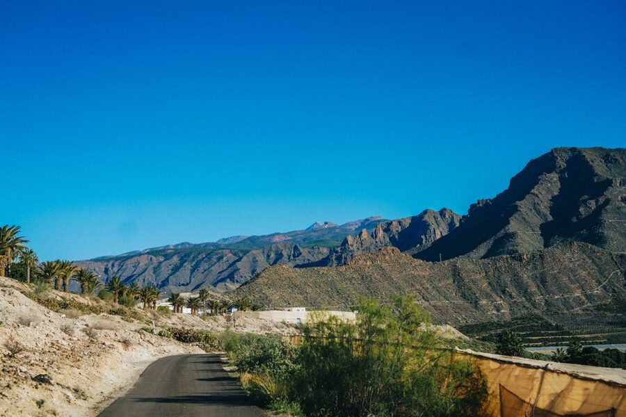 Costa Adeje: Double Tuk Tuk Tour - What the guides add to the ride