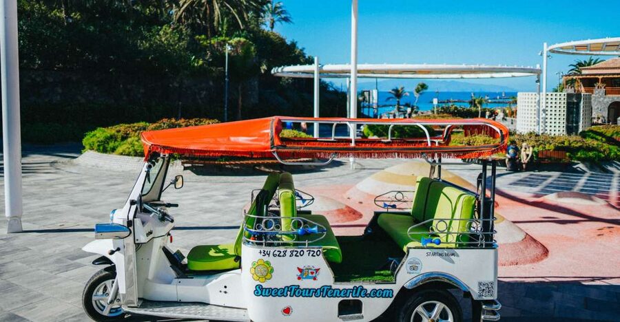 Costa Adeje: Double Tuk Tuk Tour - Is $45 a fair price?