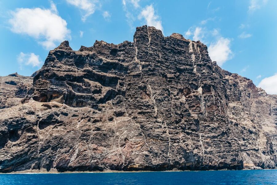 Costa Adeje: Masca and Los Gigantes Whale Watching Cruise - Is $71 a Fair Price?