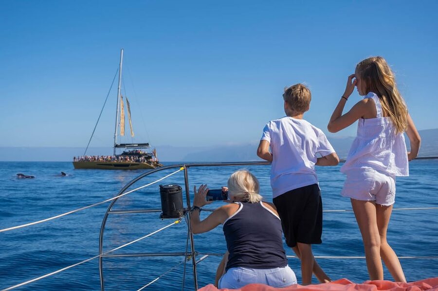 Costa Adeje: Masca and Los Gigantes Whale Watching Cruise - Who Will Enjoy This Cruise Most?