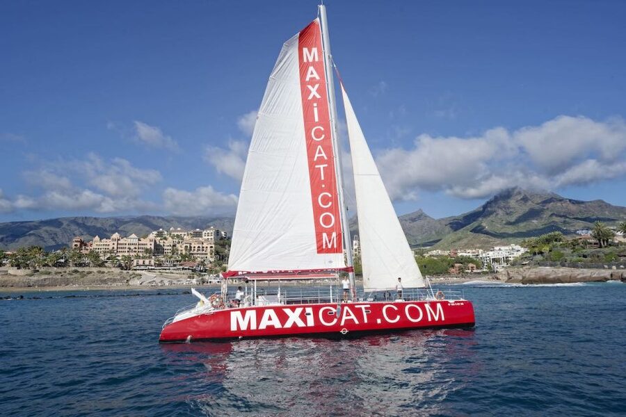 Costa Adeje: Whale and Dolphin Cruise with Food and Pickup - Five things to know before you book