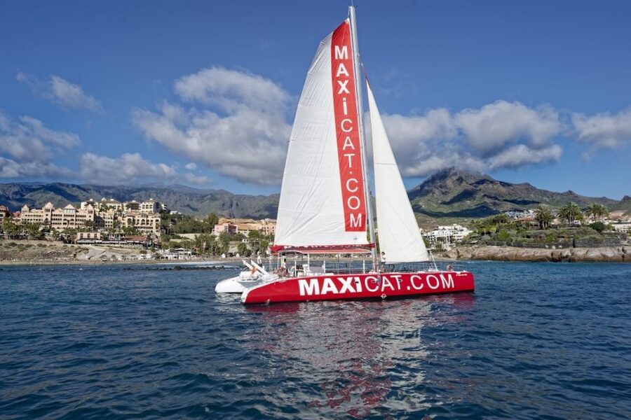 Costa Adeje: Whale and Dolphin Cruise with Food and Pickup - How the pickup option affects the day