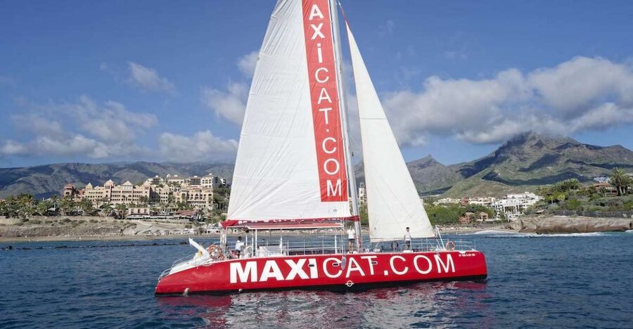 Costa Adeje: Whale and Dolphin Cruise with Food and Pickup - Looking for pilot whales and dolphins