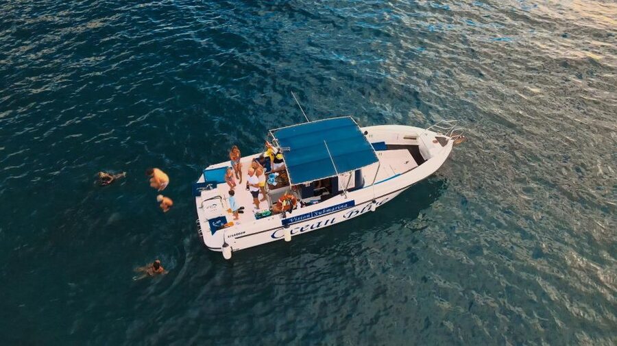 Costa Adeje: Whale and Dolphin-Watching Boat Excursion - The glass-bottom viewing area