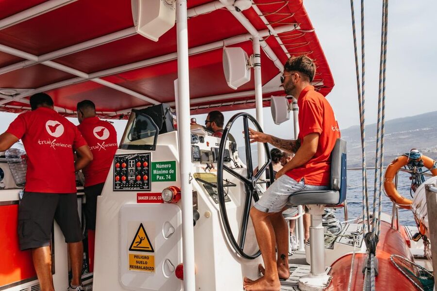 Costa Adeje: Whale & Dolphin Eco-Cruise with Snacks & Drinks - Who will enjoy this Costa Adeje cruise?