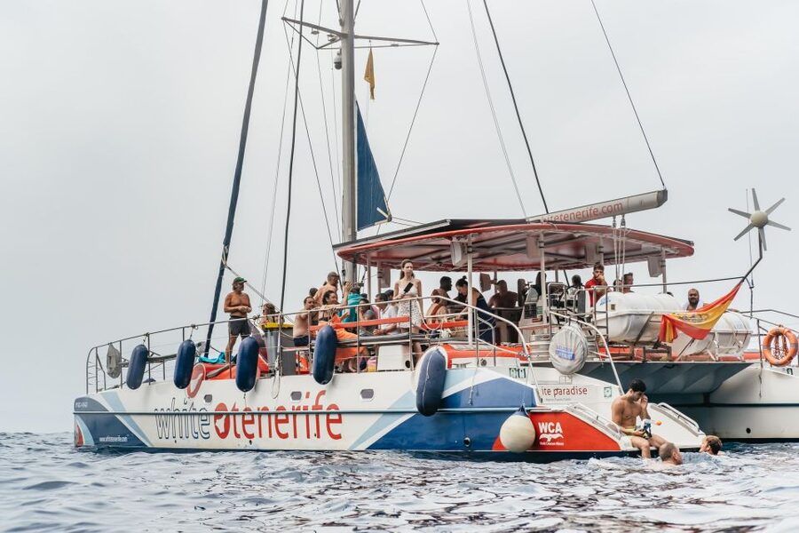 Costa Adeje: Whale & Dolphin Eco-Cruise with Snacks & Drinks - Searching the Teno-Rasca Whale Sanctuary