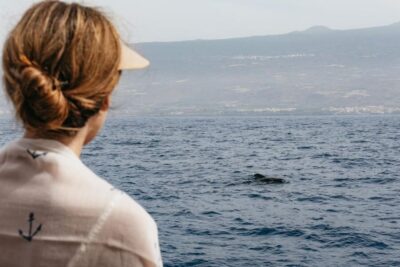 Whale & Dolphin Eco-Cruise with Snacks & Drinks