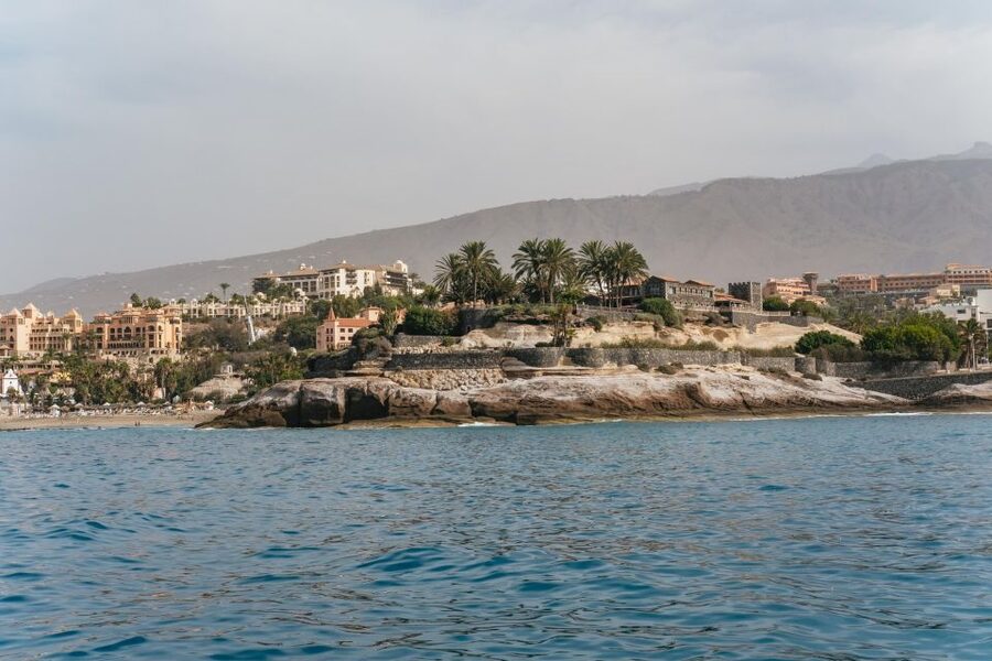 Costa Adeje: Whale & Dolphin Eco-Cruise with Snacks & Drinks - The biggest issue: rough Atlantic water