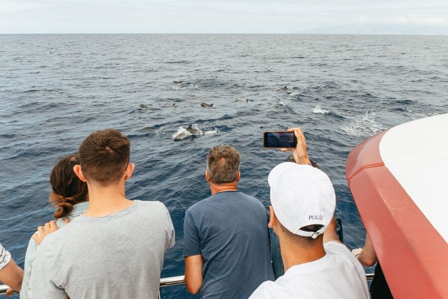 Costa Adeje: Whale & Dolphin Submarine Vision Mini Cruise - Booking Details That Matter