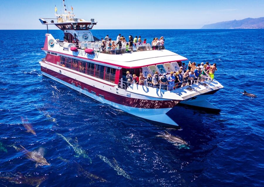 Costa Adeje: Whale & Dolphin Submarine Vision Mini Cruise - Starting at Dock 12 in Puerto Colón
